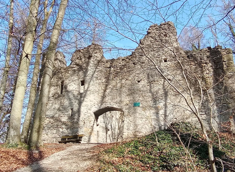 Burgruine Steinhart, Germany